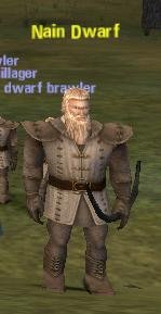 Picture of Nain Dwarf