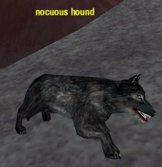 Picture of Nocuous Hound