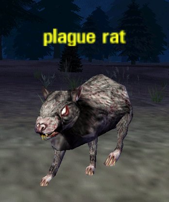Picture of Plague Rat