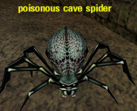 Picture of Poisonous Cave Spider