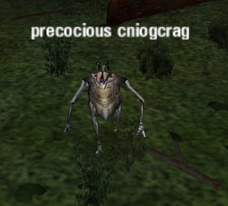 Picture of Precocious Cniogcrag