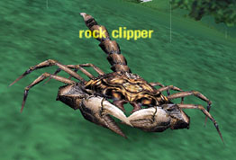 Picture of Rock Clipper