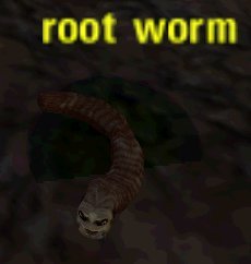 Picture of Root Worm