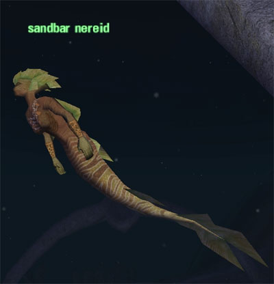 Picture of Sandbar Nereid