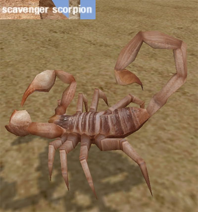 Picture of Scavenger Scorpion