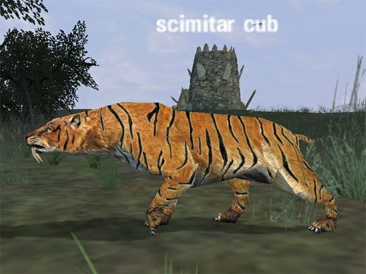 Picture of Scimitar Cub