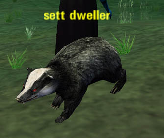 Picture of Sett Dweller
