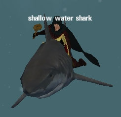 Picture of Shallow Water Shark