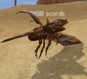 Picture of Small Scarab