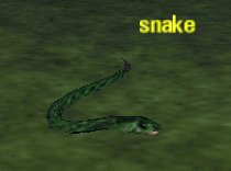 Picture of Snake