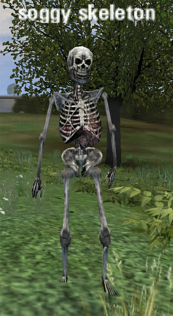 Picture of Soggy Skeleton