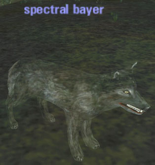 Picture of Spectral Bayer