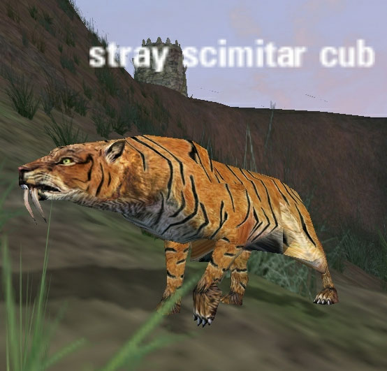 Picture of Stray Scimitar Cub