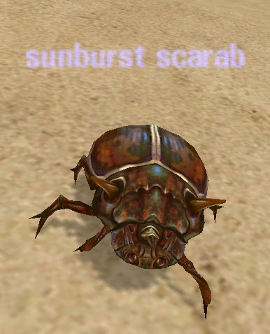 Picture of Sunburst Scarab