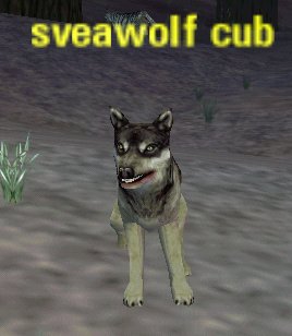 Picture of Sveawolf Cub