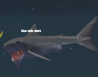 Picture of Blue-side Shark