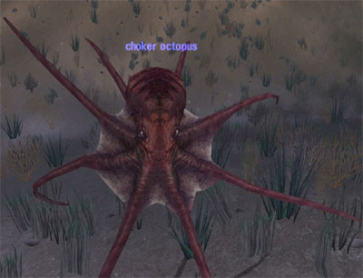 Picture of Choker Octopus