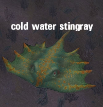 Picture of Cold Water Stingray