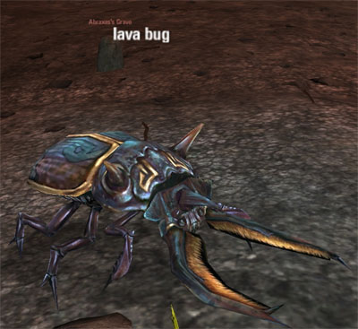 Picture of Lava Bug