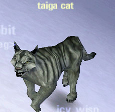 Picture of Taiga Cat