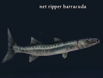 Picture of Net Ripper Barracuda