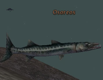 Picture of Osoreos