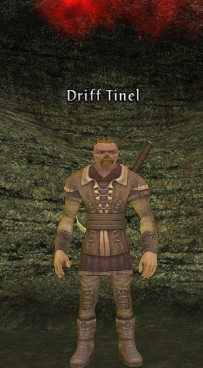 Picture of Driff Tinel