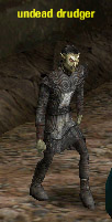 Picture of Undead Drudger