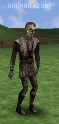 Picture of Undead Druid