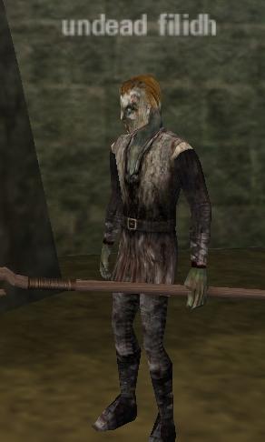 Picture of Undead Filidh