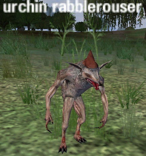 Picture of Urchin Rabblerouser