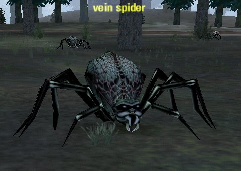 Picture of Vein Spider