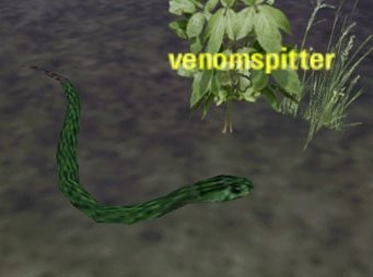 Picture of Venomspitter