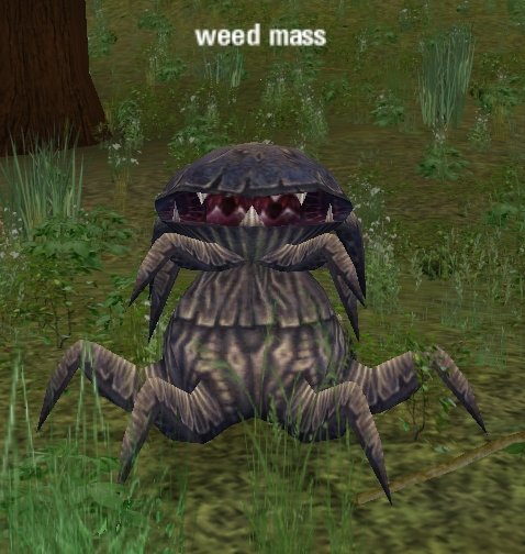 Picture of Weed Mass