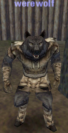 Picture of Werewolf