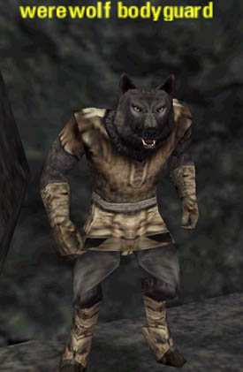 Picture of Werewolf Bodyguard