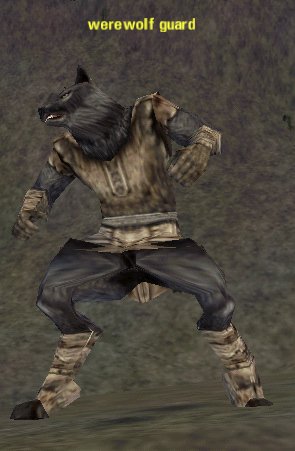 Picture of Werewolf Guard