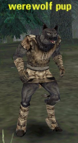 Picture of Werewolf Pup