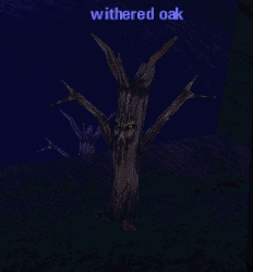 Picture of Withered Oak