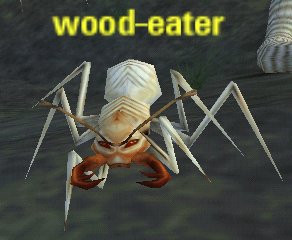 Picture of Wood-Eater