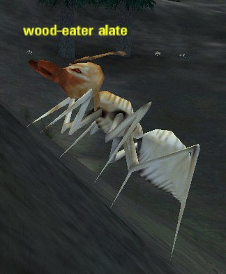 Picture of Wood-Eater Alate