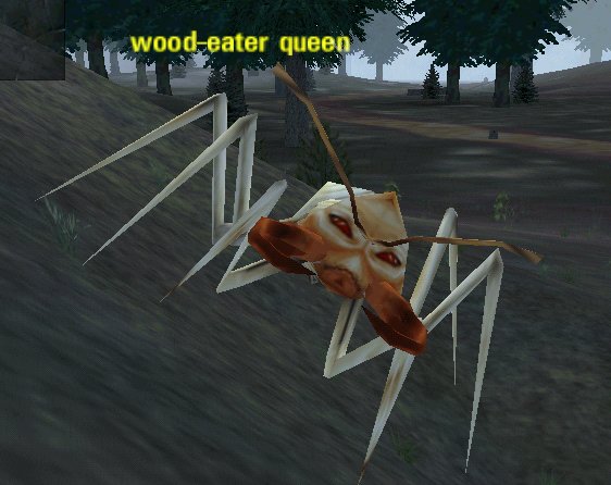 Picture of Wood-Eater Queen