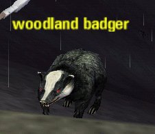 Picture of Woodland Badger