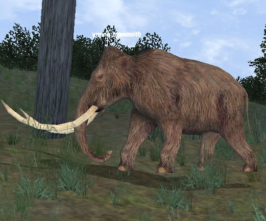 Picture of Young Mammoth