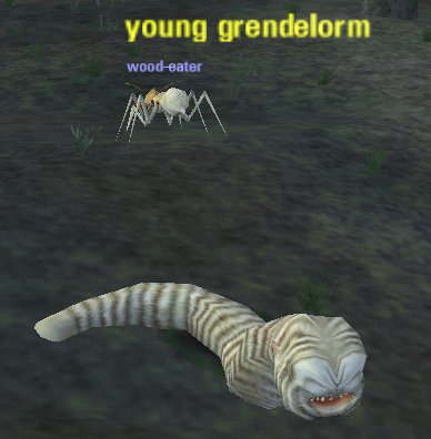 Picture of Young Grendelorm