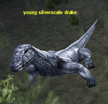 Picture of Young Silverscale Drake