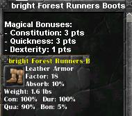 Picture for Bright Forest Runners Boots
