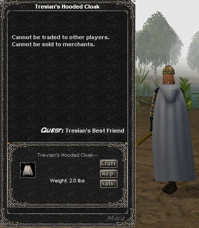 Picture for Trevian's Hooded Cloak