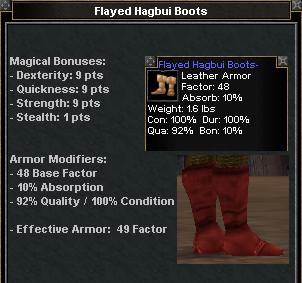Picture for Flayed Hagbui Boots