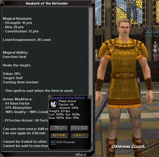 Picture for Hauberk of the Defender